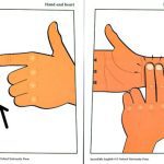 خرید و دانلود نسخه کامل کتاب Incredible English 4. Flashcards