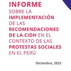 خرید و دانلود نسخه کامل کتاب Informe sobre la implementación de las recomendaciones de la CIDH en el contexto de las protestas sociales en el Perú. Diciembre 2023