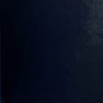 خرید و دانلود نسخه کامل کتاب Initia Amharica: An Introduction to spoken Amharic, Part I