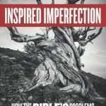 خرید و دانلود نسخه کامل کتاب Inspired Imperfection: How the Bible’s Problems Enhance Its Divine Authority