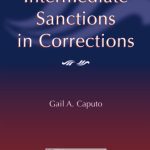 خرید و دانلود نسخه کامل کتاب Intermediate Sanctions In Corrections (North Texas Crime and Criminal Justice Series)