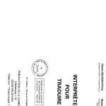 خرید و دانلود نسخه کامل کتاب Interpréter pour traduire