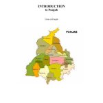 خرید و دانلود نسخه کامل کتاب Introduction to Punjabi