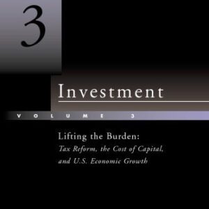 خرید و دانلود نسخه کامل کتاب Investment, Vol. 3: Lifting the Burden: Tax Reform, the Cost of Capital, and U.S. Economic Growth