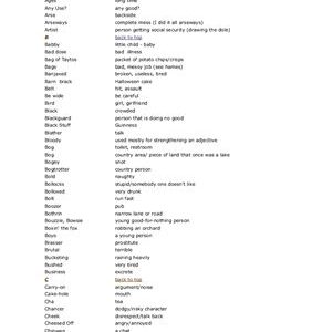 خرید و دانلود نسخه کامل کتاب Irish slang