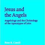 خرید و دانلود نسخه کامل کتاب Jesus and the Angels: Angelology and the Christology of the Apocalypse of John