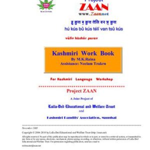 خرید و دانلود نسخه کامل کتاب Kashmiri Work Book