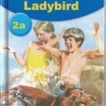 خرید و دانلود نسخه کامل کتاب Key words with Ladybird 2a. We have fun