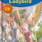 خرید و دانلود نسخه کامل کتاب Key words with Ladybird 2b. Have a go