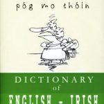 خرید و دانلود نسخه کامل کتاب Kiss My …: A Dictionary of English-Irish Slang