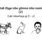 خرید و دانلود نسخه کامل کتاب Kitab tîŋge mbo gûmma mbo nosinja (2). Caki mbarlaŋa gi (l – z)