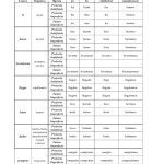 خرید و دانلود نسخه کامل کتاب Las palabras españolas (по курсу ЕШКО)