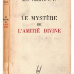 خرید و دانلود نسخه کامل کتاب Le mystère de l’amitié divine