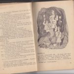 خرید و دانلود نسخه کامل کتاب Le trésor de Tricoire. Сокровище Трикуара