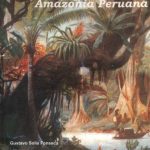 خرید و دانلود نسخه کامل کتاب Lenguas de la Amazonía peruana