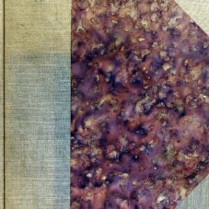 خرید و دانلود نسخه کامل کتاب Lingüística nacional : lenguas indígenas [1888]