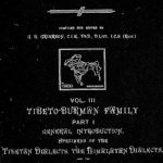 خرید و دانلود نسخه کامل کتاب Lingvistic survey of India, v.3 p.1