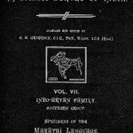 خرید و دانلود نسخه کامل کتاب Lingvistic survey of India, v.7