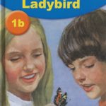 خرید و دانلود نسخه کامل کتاب Look at This