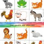 خرید و دانلود نسخه کامل کتاب Loto des animaux