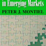 خرید و دانلود نسخه کامل کتاب Macroeconomics in Emerging Markets