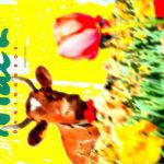 خرید و دانلود نسخه کامل کتاب Mål 2. Natur & Kultur