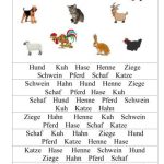 خرید و دانلود نسخه کامل کتاب Memoriespiel: Tiere, Lebensmittel, Kleidung