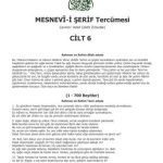 خرید و دانلود نسخه کامل کتاب Mesnevî-i Şerif Cilt 06