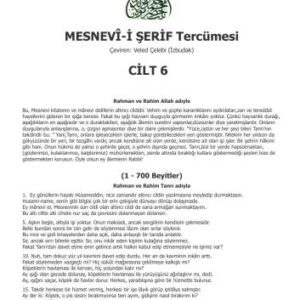 خرید و دانلود نسخه کامل کتاب Mesnevî-i Şerif Cilt 06
