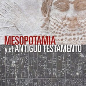خرید و دانلود نسخه کامل کتاب Mesopotamia y el Antiguo Testamento