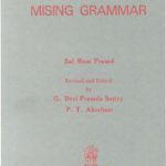 خرید و دانلود نسخه کامل کتاب Mising grammar