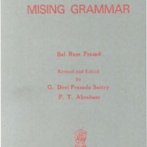 خرید و دانلود نسخه کامل کتاب Mising grammar