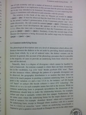 خرید و دانلود نسخه کامل کتاب Modern Irish: Grammatical Structure and Dialectal Variation_68ba20286d8c0.jpeg خرید و دانلود نسخه کامل کتاب Modern Irish: Grammatical Structure and Dialectal Variation