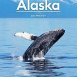 خرید و دانلود نسخه کامل کتاب Moon Alaska: Scenic Drives, National Parks, Best Hikes