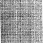 خرید و دانلود نسخه کامل کتاب Morfologia vasca