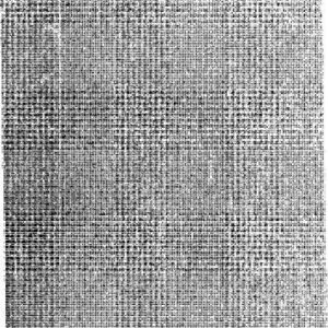 خرید و دانلود نسخه کامل کتاب Morfologia vasca