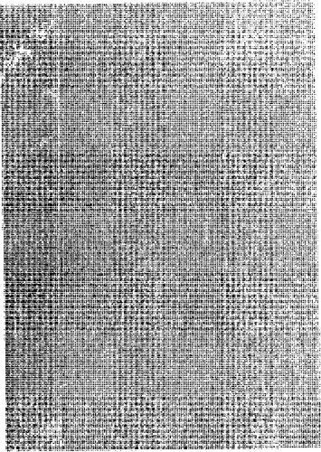 خرید و دانلود نسخه کامل کتاب Morfologia vasca_68b6ea633bd83.jpeg خرید و دانلود نسخه کامل کتاب Morfologia vasca