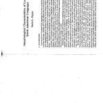 خرید و دانلود نسخه کامل کتاب Morphological characteristics of lowland South American languages