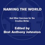 خرید و دانلود نسخه کامل کتاب Naming the World: And Other Exercises for the Creative Writer