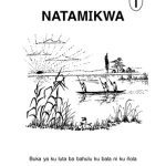 خرید و دانلود نسخه کامل کتاب Natamikwa 1