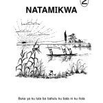 خرید و دانلود نسخه کامل کتاب Natamikwa 2