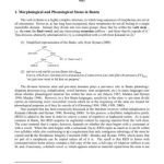 خرید و دانلود نسخه کامل کتاب New Evidence for a Phonological Stem Domain in Kinande