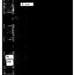 خرید و دانلود نسخه کامل کتاب Nueva grámatica tagalog