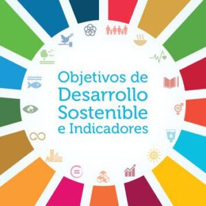 خرید و دانلود نسخه کامل کتاب Objetivos de Desarrollo Sostenible e Indicadores