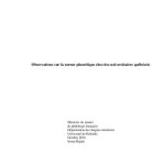 خرید و دانلود نسخه کامل کتاب Observations sur la norme phonétique chez des universitaires quebecois ( Master diss. on Quebec French )