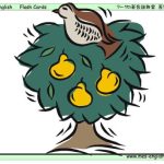 خرید و دانلود نسخه کامل کتاب O’Mama. Flashcards for Kids. Часть 1