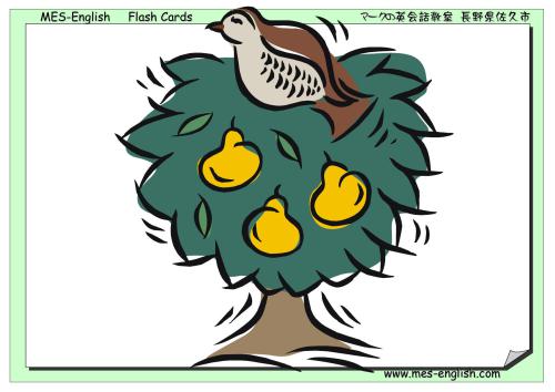 خرید و دانلود نسخه کامل کتاب O’Mama. Flashcards for Kids. Часть 1_68bed75c84d3d.jpeg خرید و دانلود نسخه کامل کتاب O’Mama. Flashcards for Kids. Часть 1