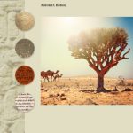 خرید و دانلود نسخه کامل کتاب Omani Mehri: A New Grammar with Texts