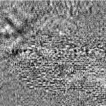 خرید و دانلود نسخه کامل کتاب Ordets rette plass : ordstilling i norsk ; øvelser i norsk som andrespråk