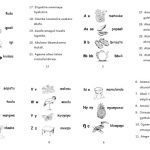 خرید و دانلود نسخه کامل کتاب OWalifu wʼoLutumu lwange